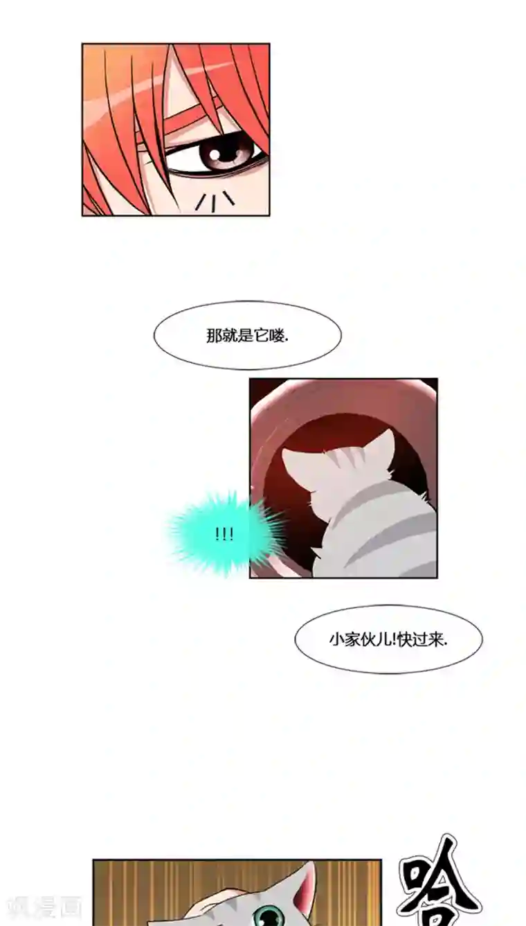 ICE-Cold要员的捡猫事件第60话