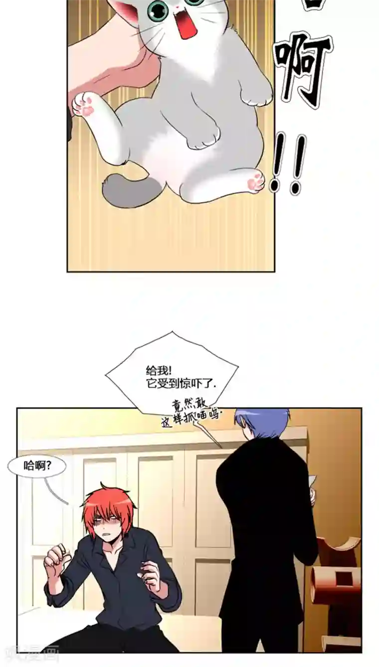 ICE-Cold要员的捡猫事件第60话