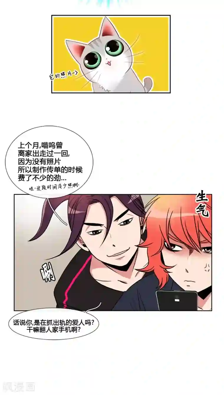 ICE-Cold要员的捡猫事件第61话