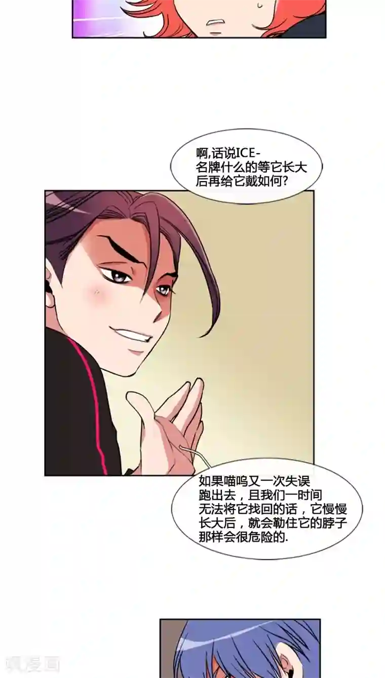 ICE-Cold要员的捡猫事件第61话