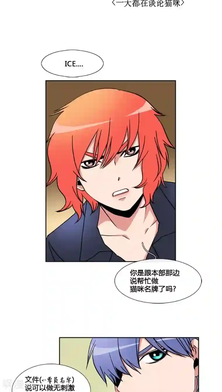 ICE-Cold要员的捡猫事件第61话