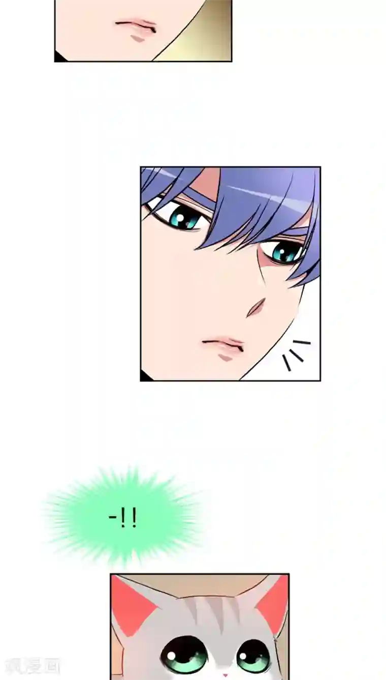 ICE-Cold要员的捡猫事件第61话