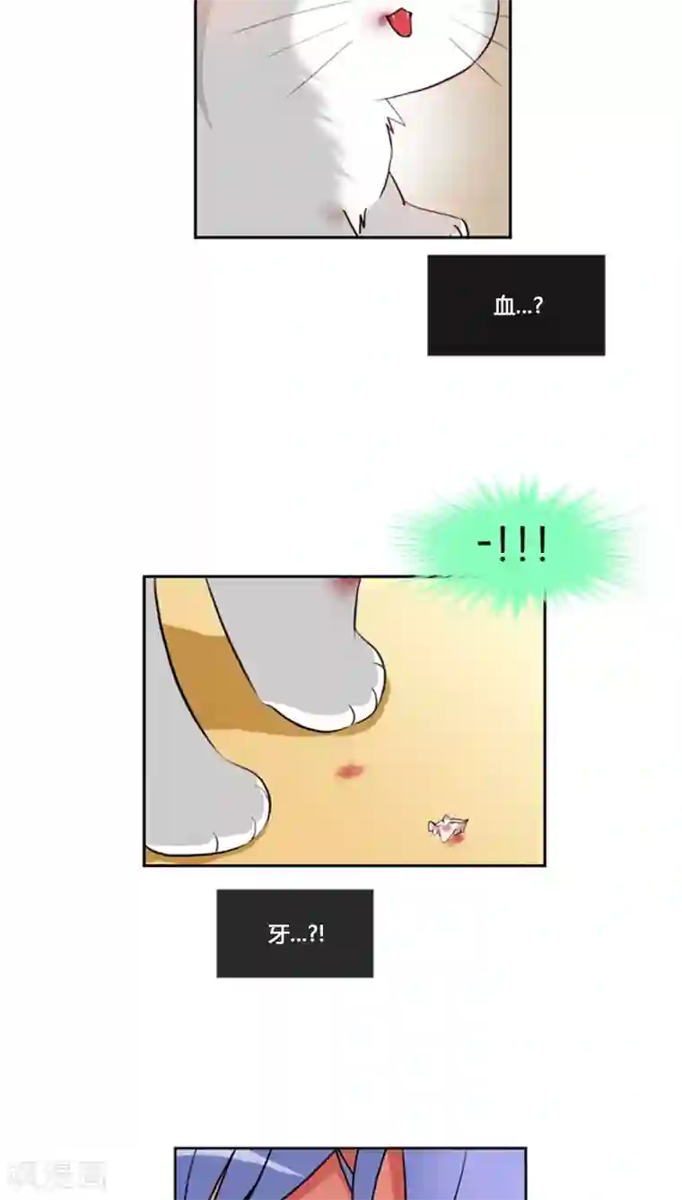 ICE-Cold要员的捡猫事件第61话