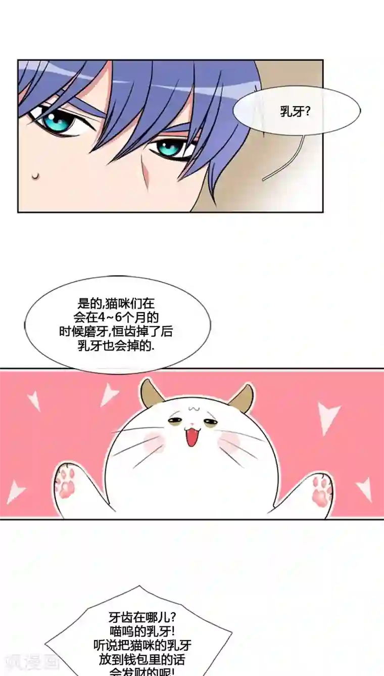 ICE-Cold要员的捡猫事件第61话