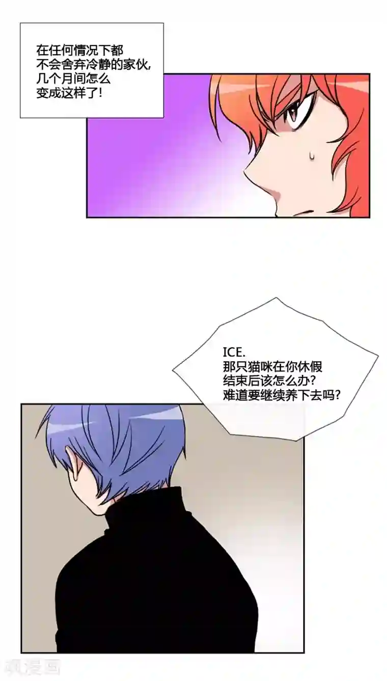 ICE-Cold要员的捡猫事件第61话