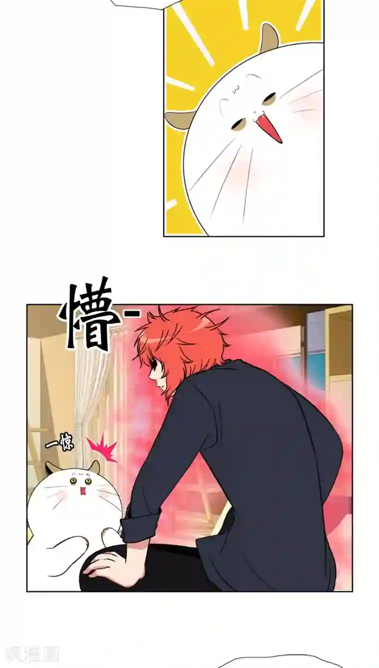 ICE-Cold要员的捡猫事件第61话