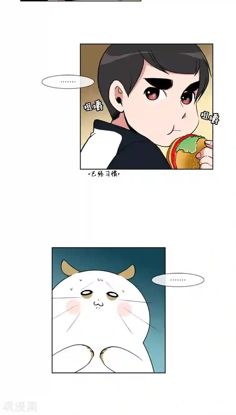 ICE-Cold要员的捡猫事件第61话