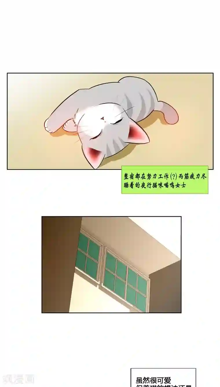 ICE-Cold要员的捡猫事件第61话