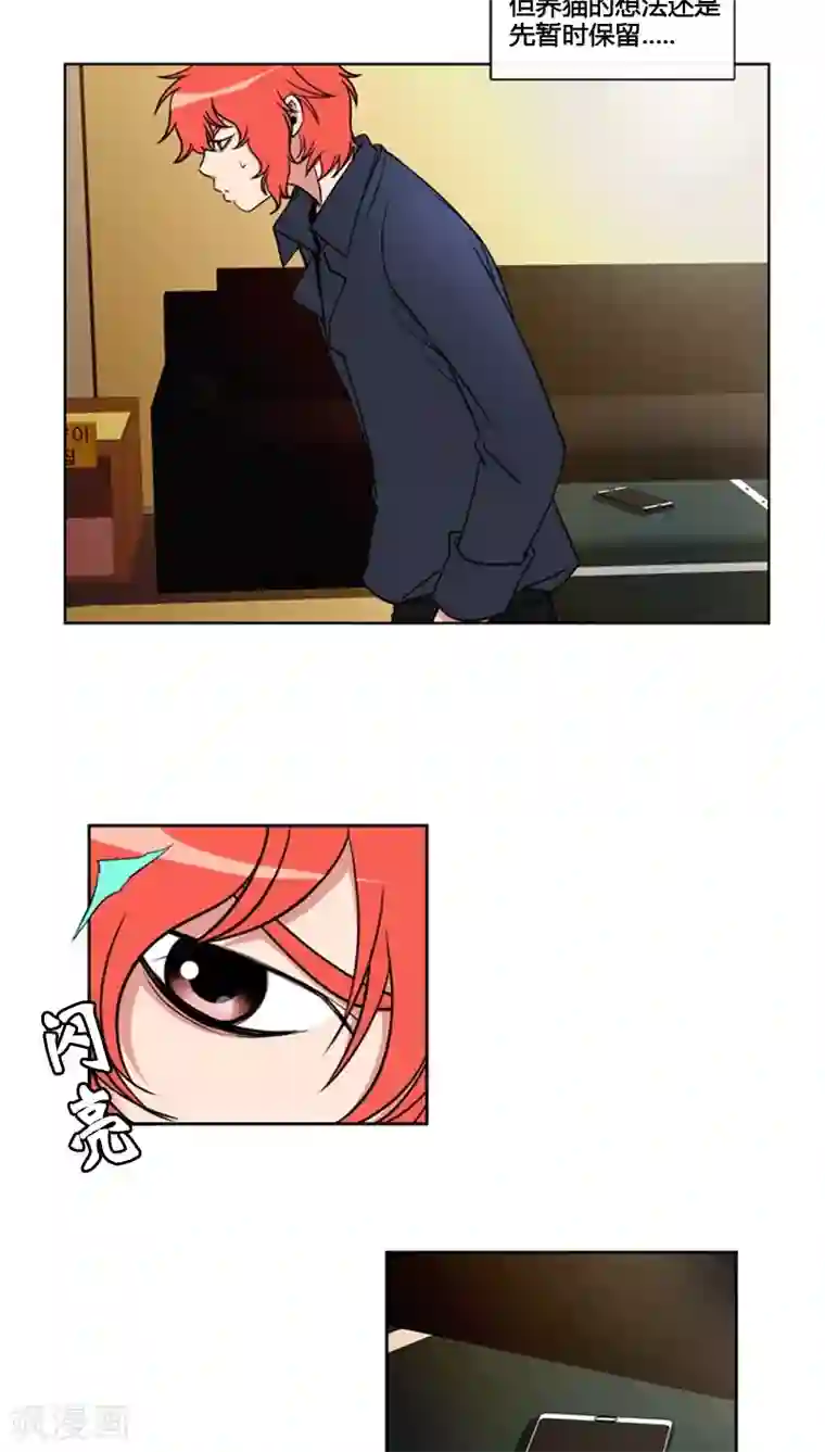 ICE-Cold要员的捡猫事件第61话