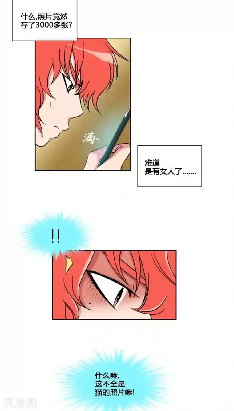 ICE-Cold要员的捡猫事件第61话