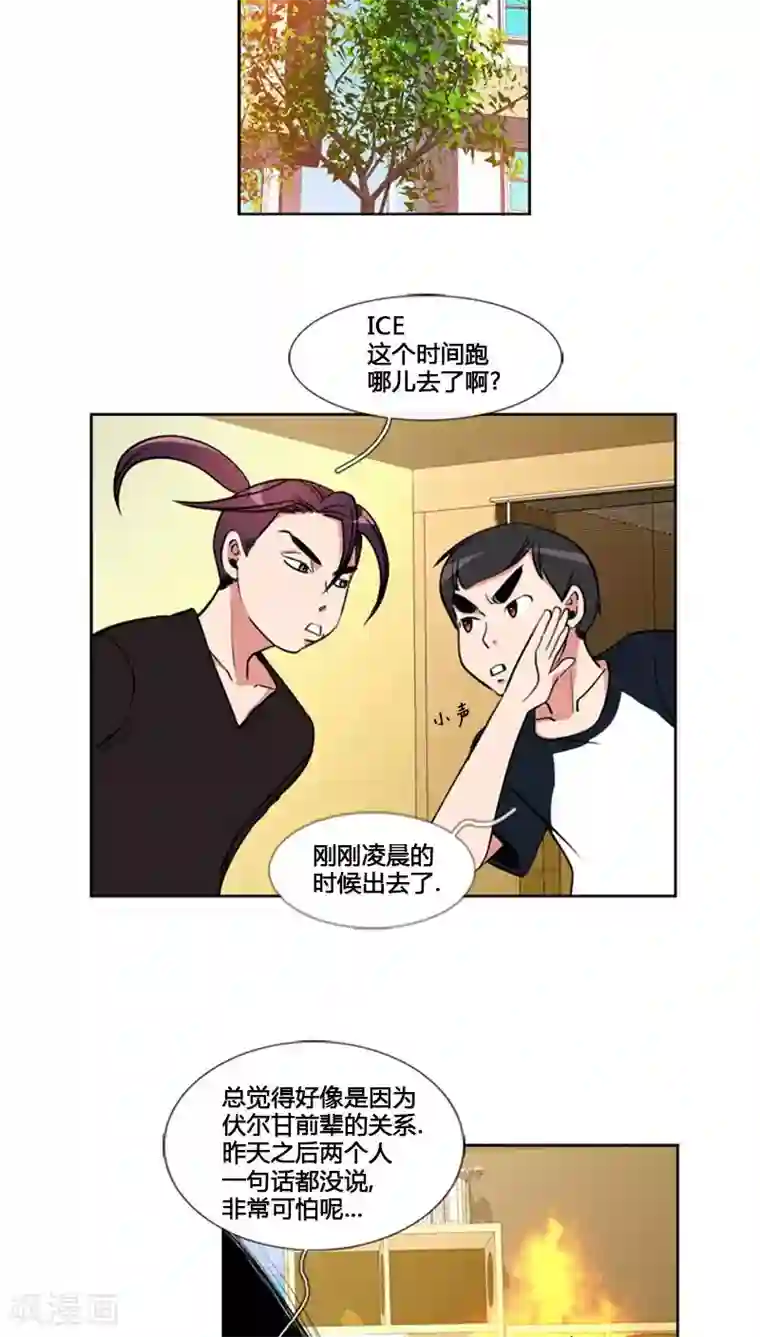 ICE-Cold要员的捡猫事件第62话