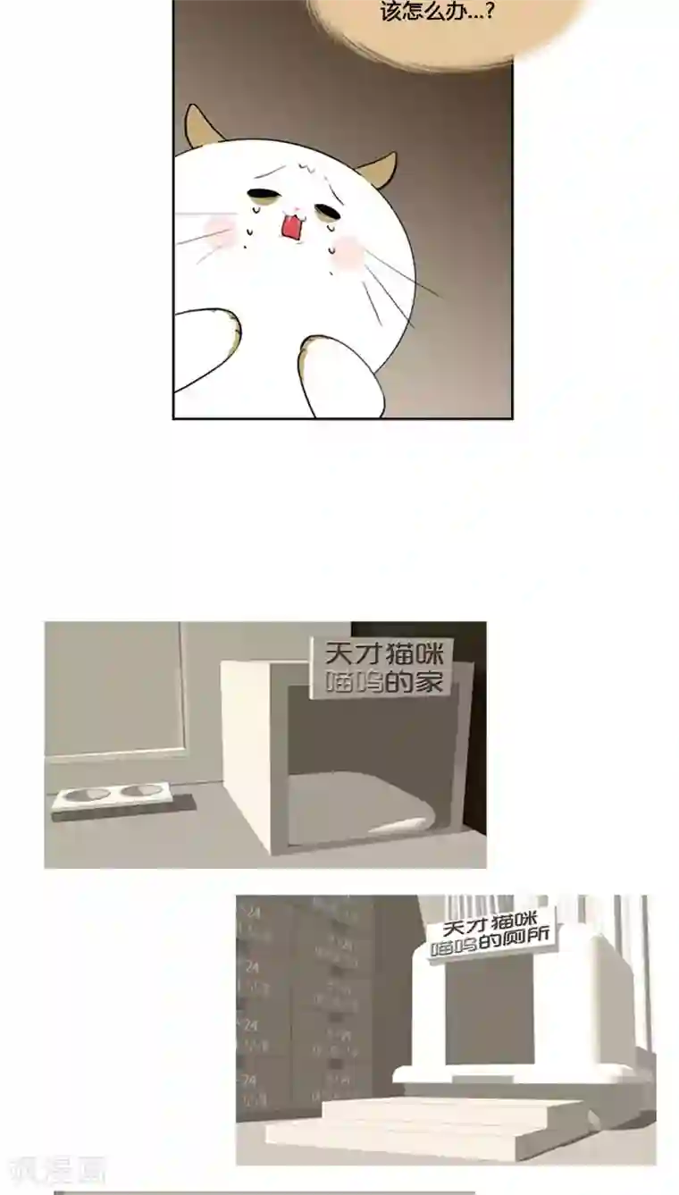 ICE-Cold要员的捡猫事件第62话