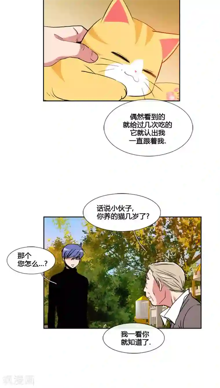 ICE-Cold要员的捡猫事件第62话