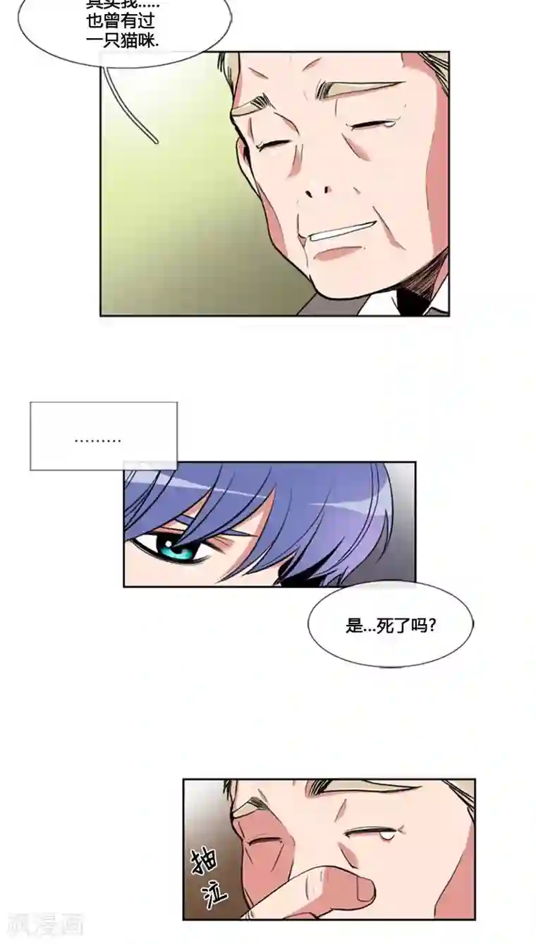 ICE-Cold要员的捡猫事件第62话