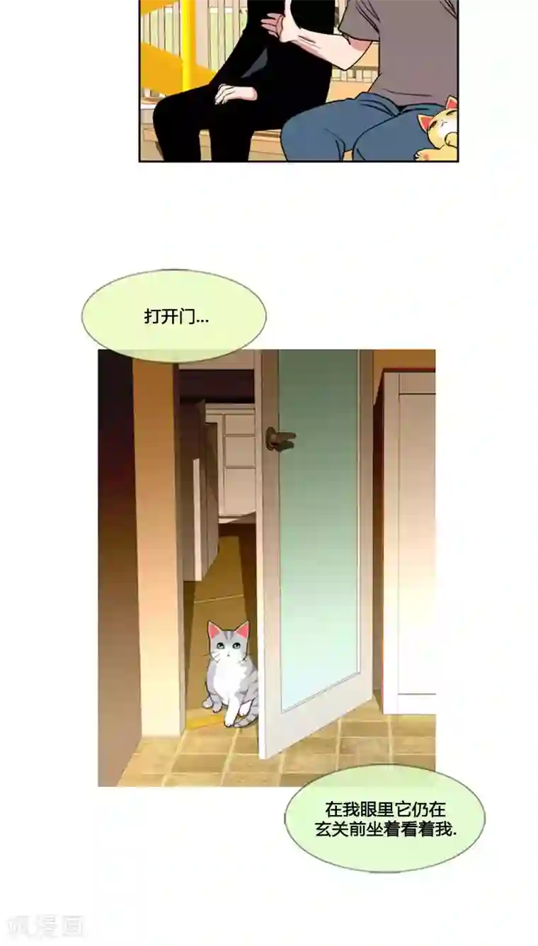 ICE-Cold要员的捡猫事件第62话