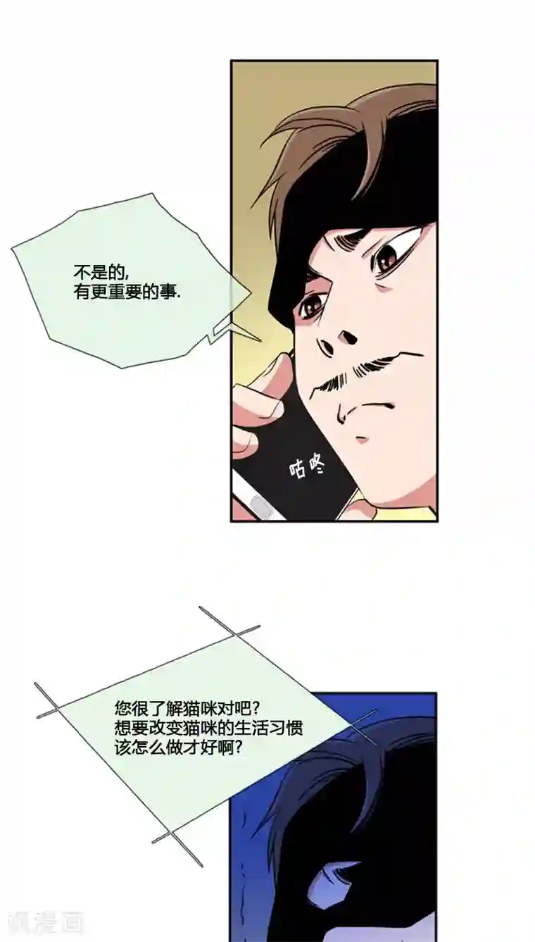 ICE-Cold要员的捡猫事件第62话