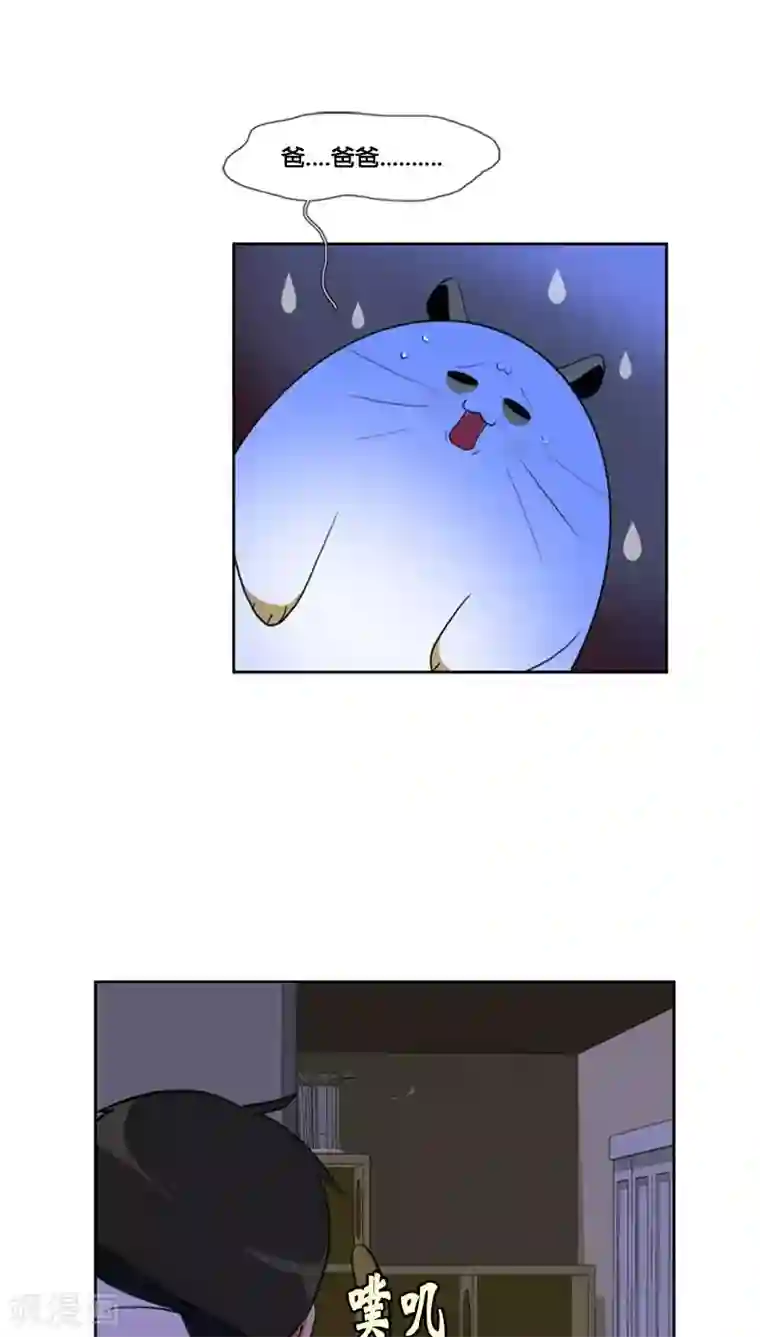 ICE-Cold要员的捡猫事件第62话