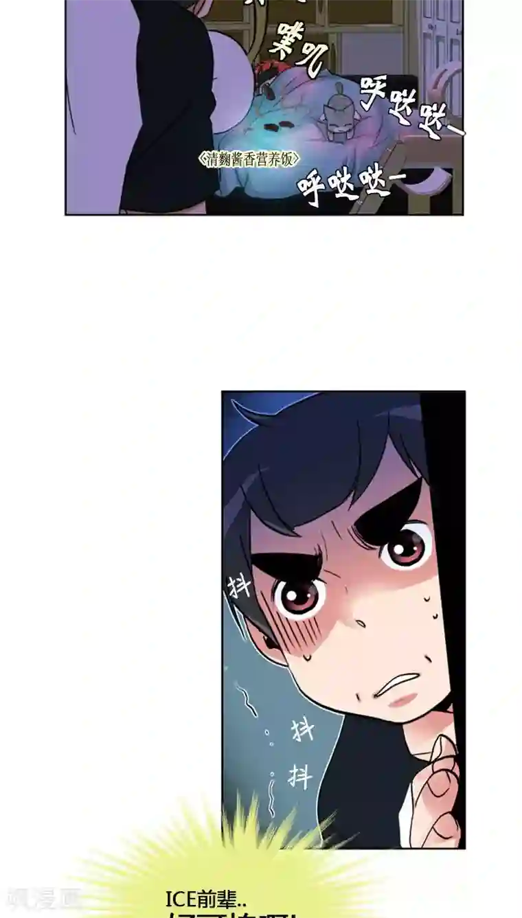 ICE-Cold要员的捡猫事件第62话