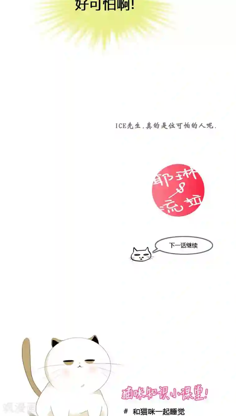 ICE-Cold要员的捡猫事件第62话