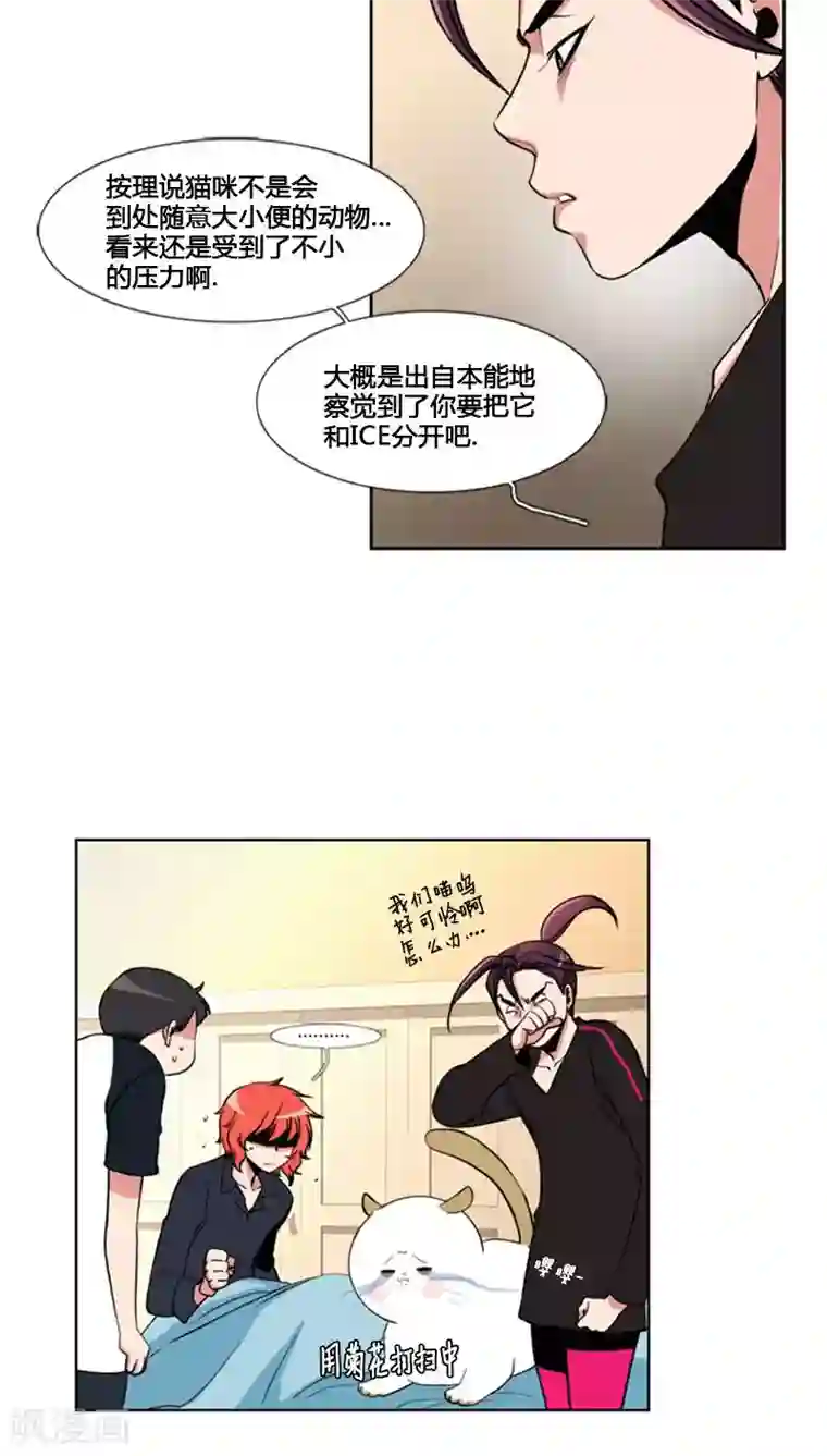 ICE-Cold要员的捡猫事件第62话