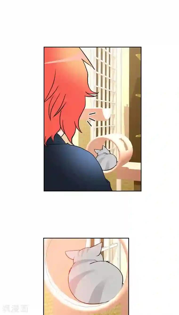 ICE-Cold要员的捡猫事件第62话