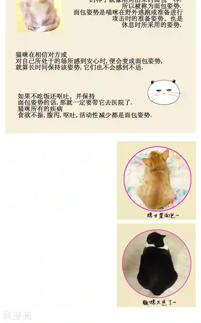 贞观赘婿第63话