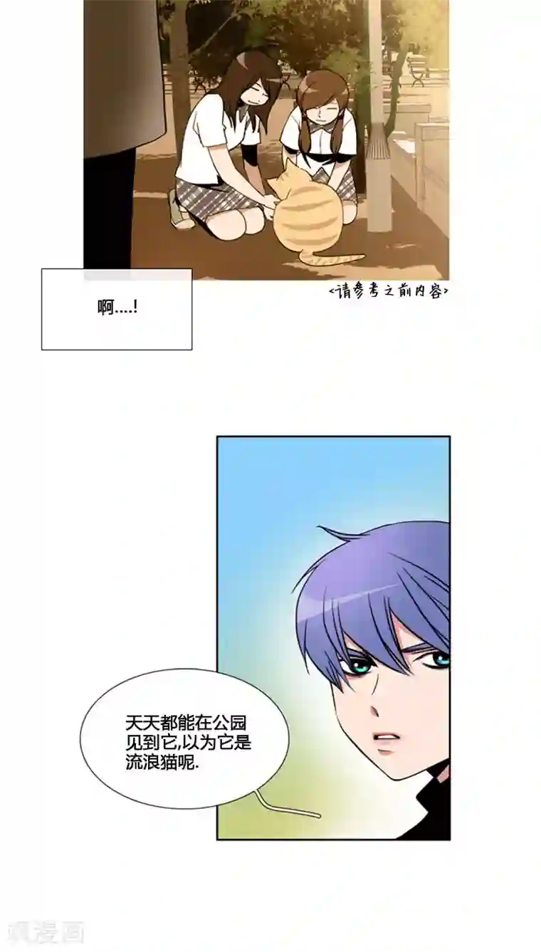 ICE-Cold要员的捡猫事件第64话