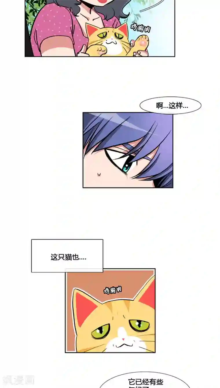 ICE-Cold要员的捡猫事件第64话