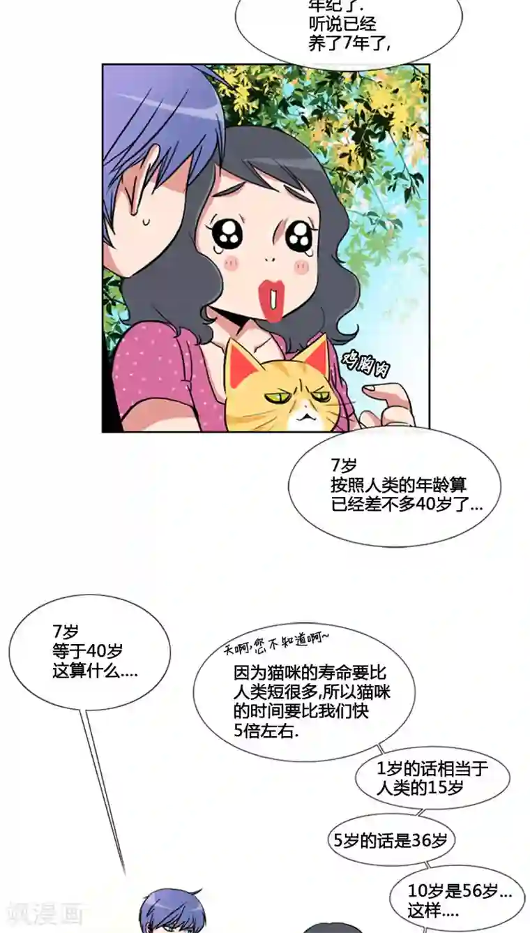ICE-Cold要员的捡猫事件第64话
