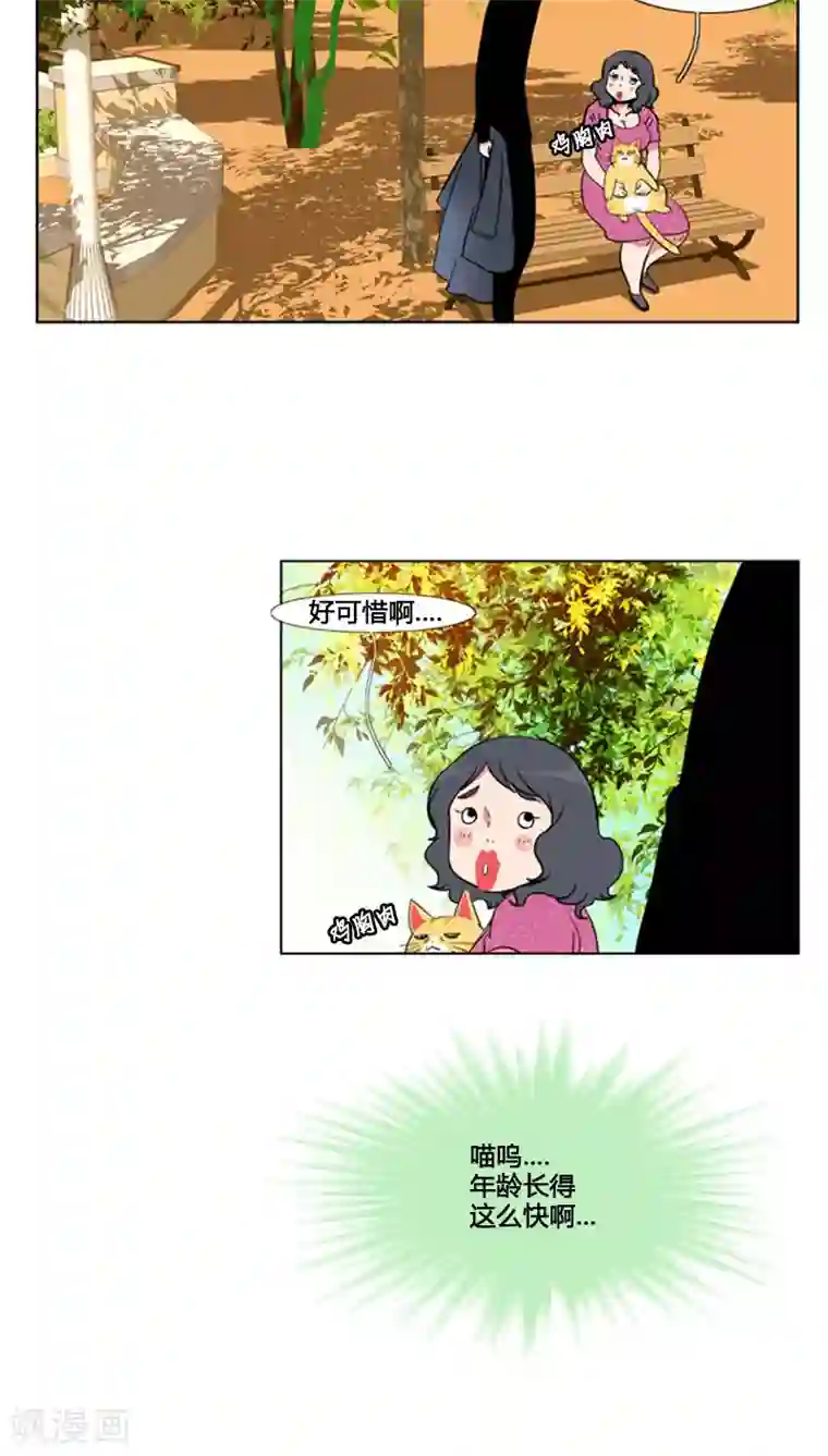 ICE-Cold要员的捡猫事件第64话