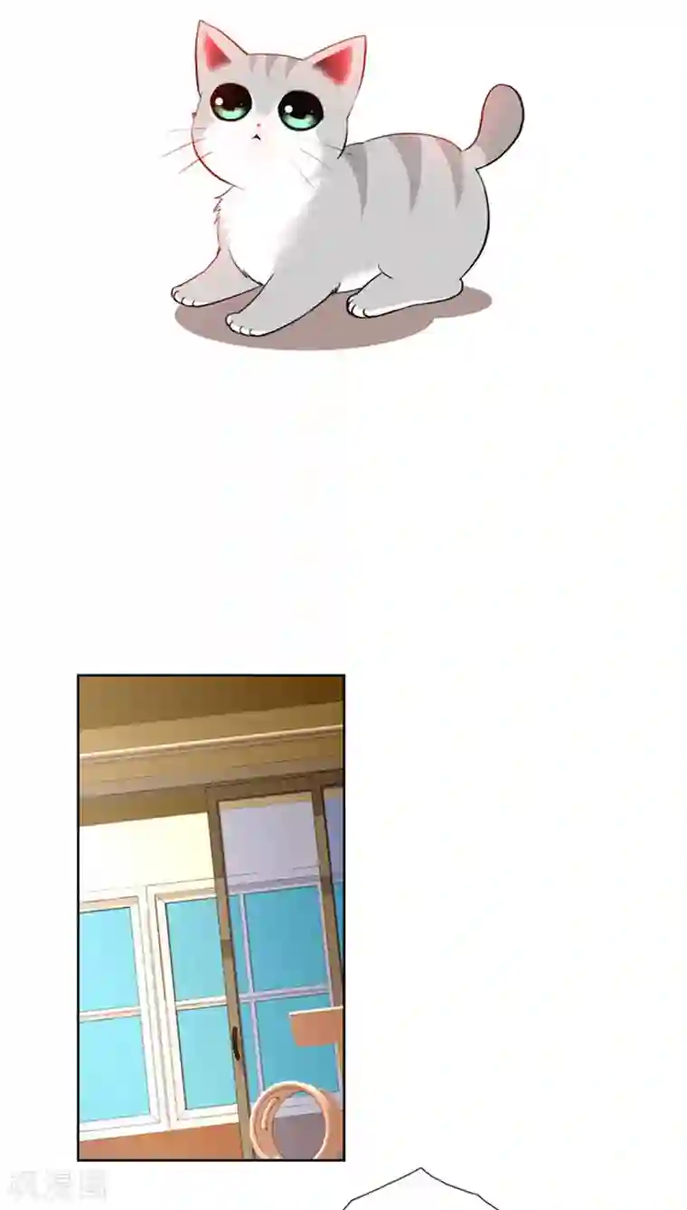 ICE-Cold要员的捡猫事件第64话