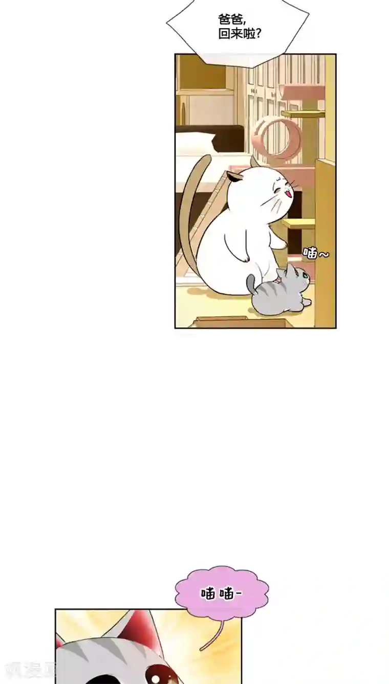 ICE-Cold要员的捡猫事件第64话