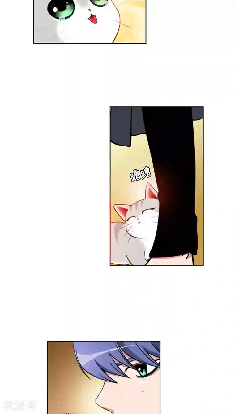 ICE-Cold要员的捡猫事件第64话