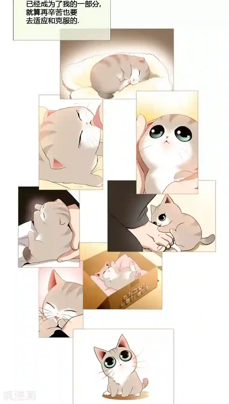 ICE-Cold要员的捡猫事件第64话