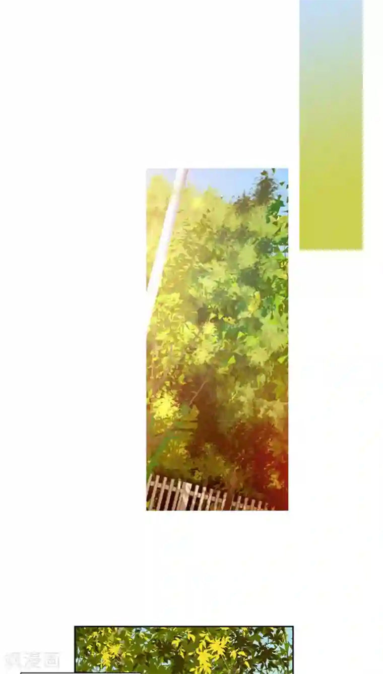 ICE-Cold要员的捡猫事件第64话