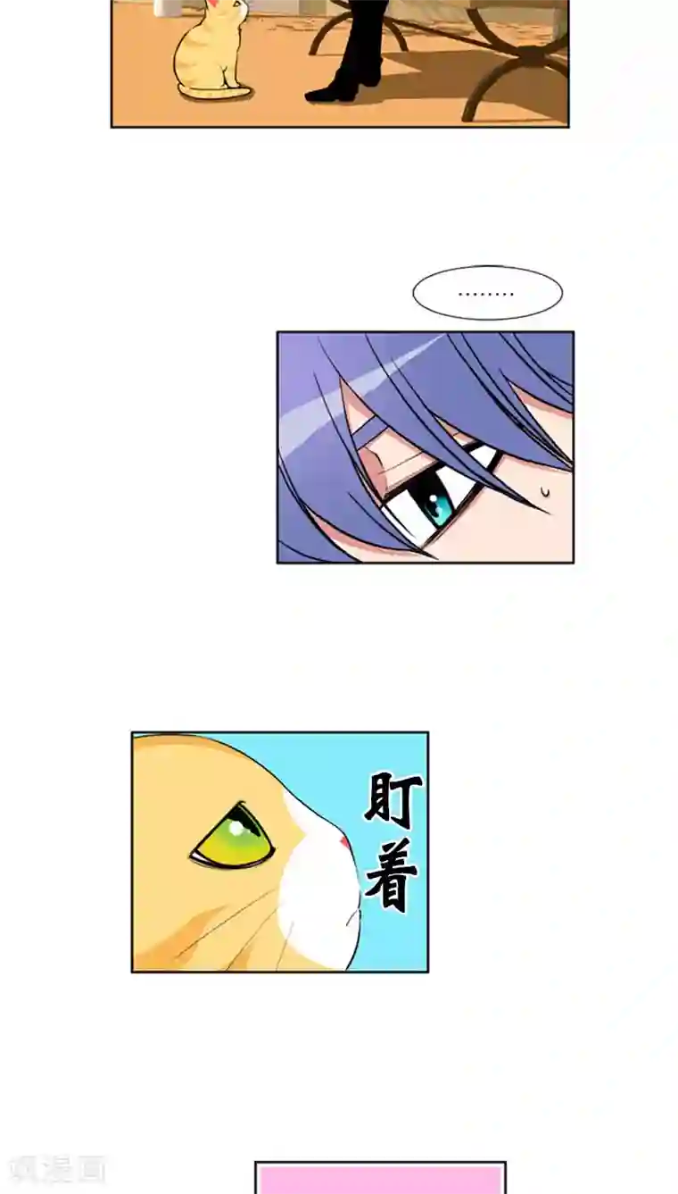 ICE-Cold要员的捡猫事件第64话