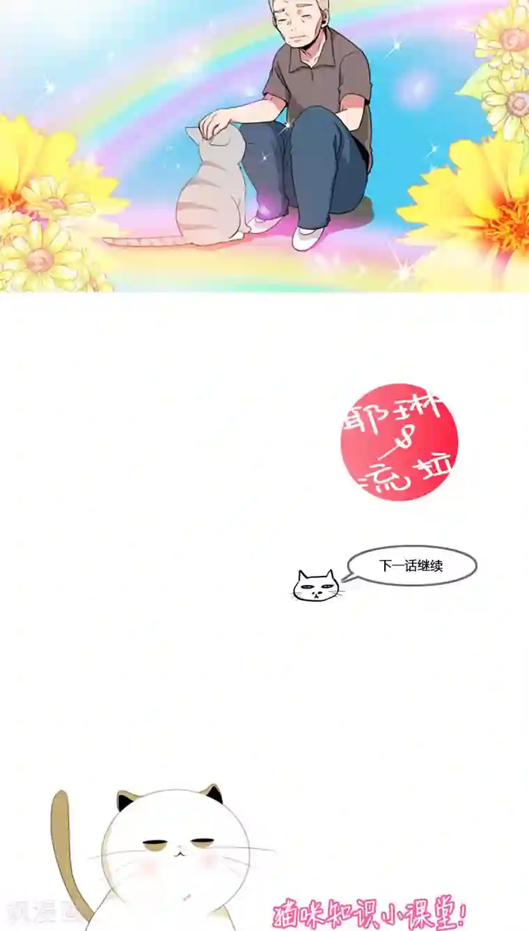 ICE-Cold要员的捡猫事件第64话