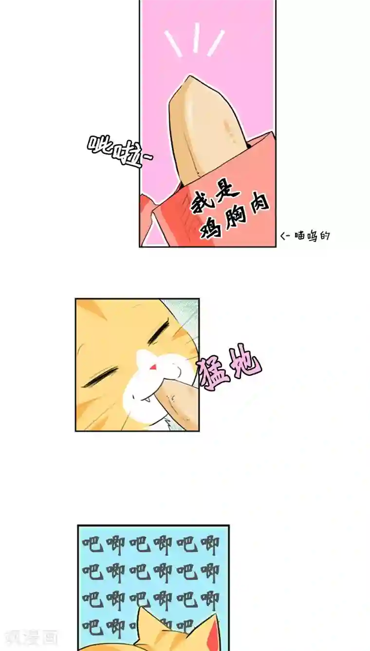 ICE-Cold要员的捡猫事件第64话