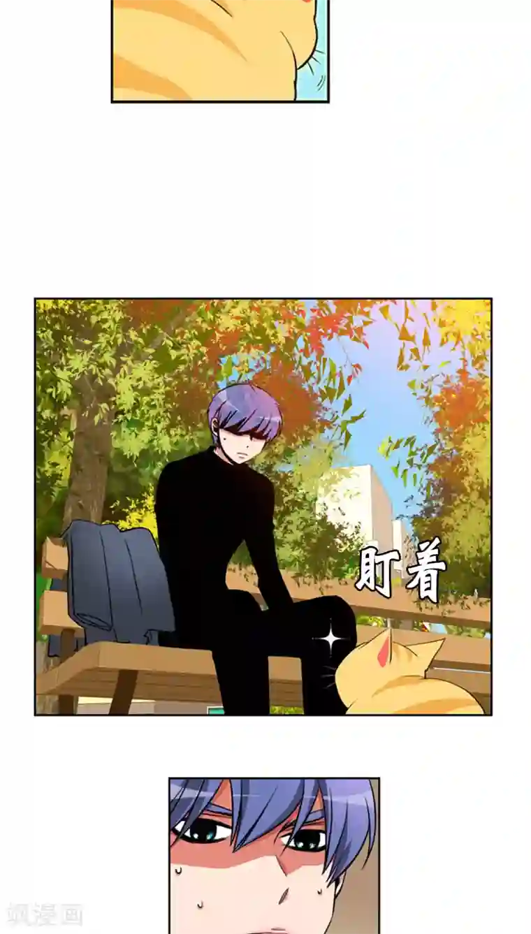 ICE-Cold要员的捡猫事件第64话