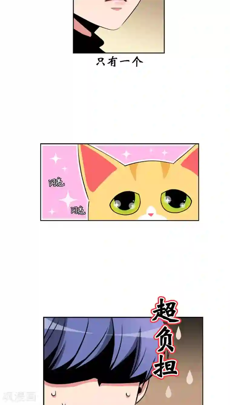 ICE-Cold要员的捡猫事件第64话