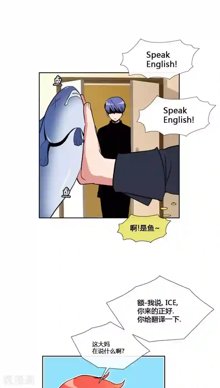 ICE-Cold要员的捡猫事件第65话