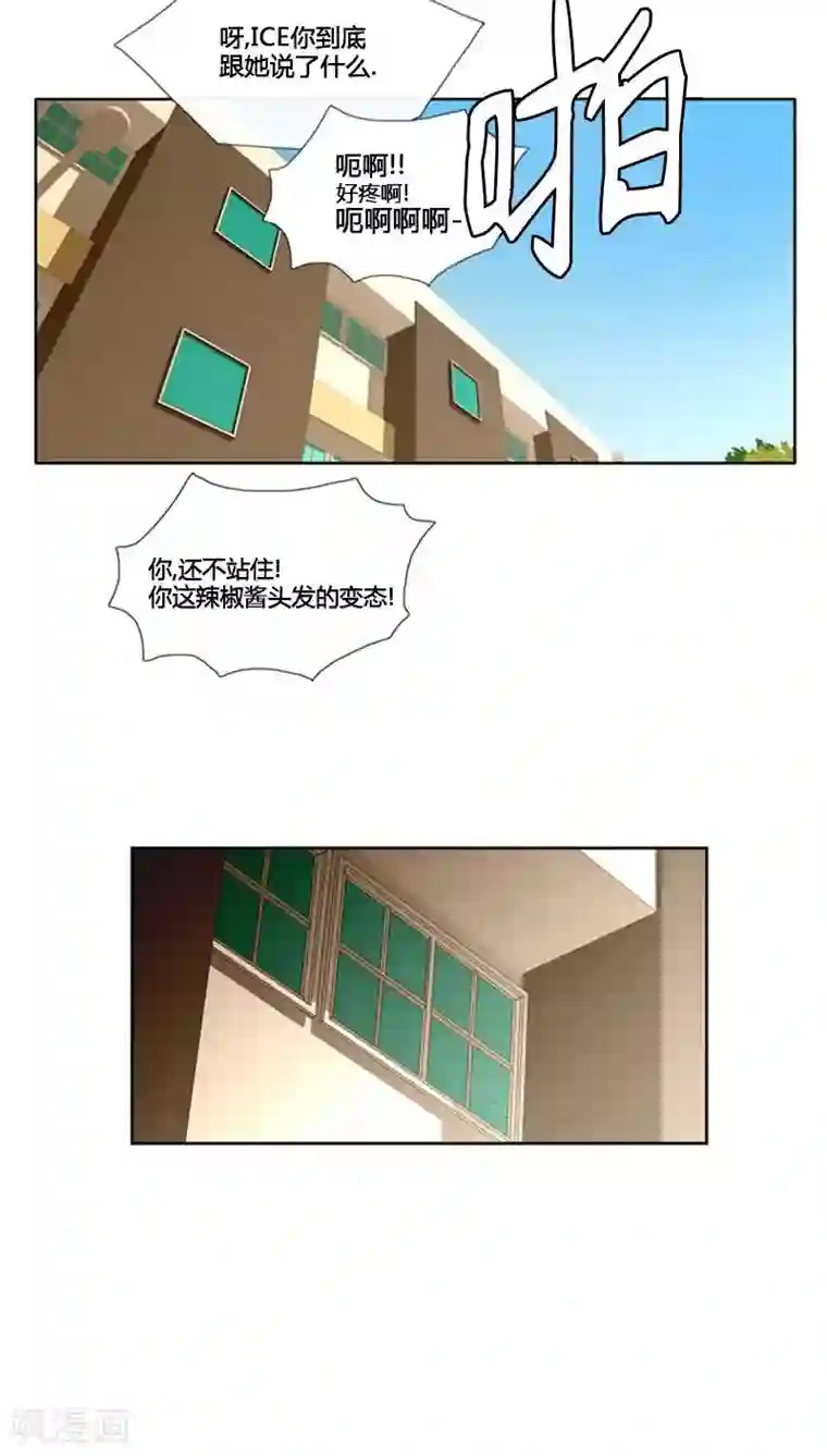 ICE-Cold要员的捡猫事件第65话