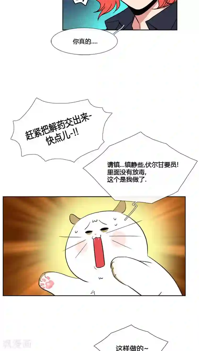 ICE-Cold要员的捡猫事件第65话