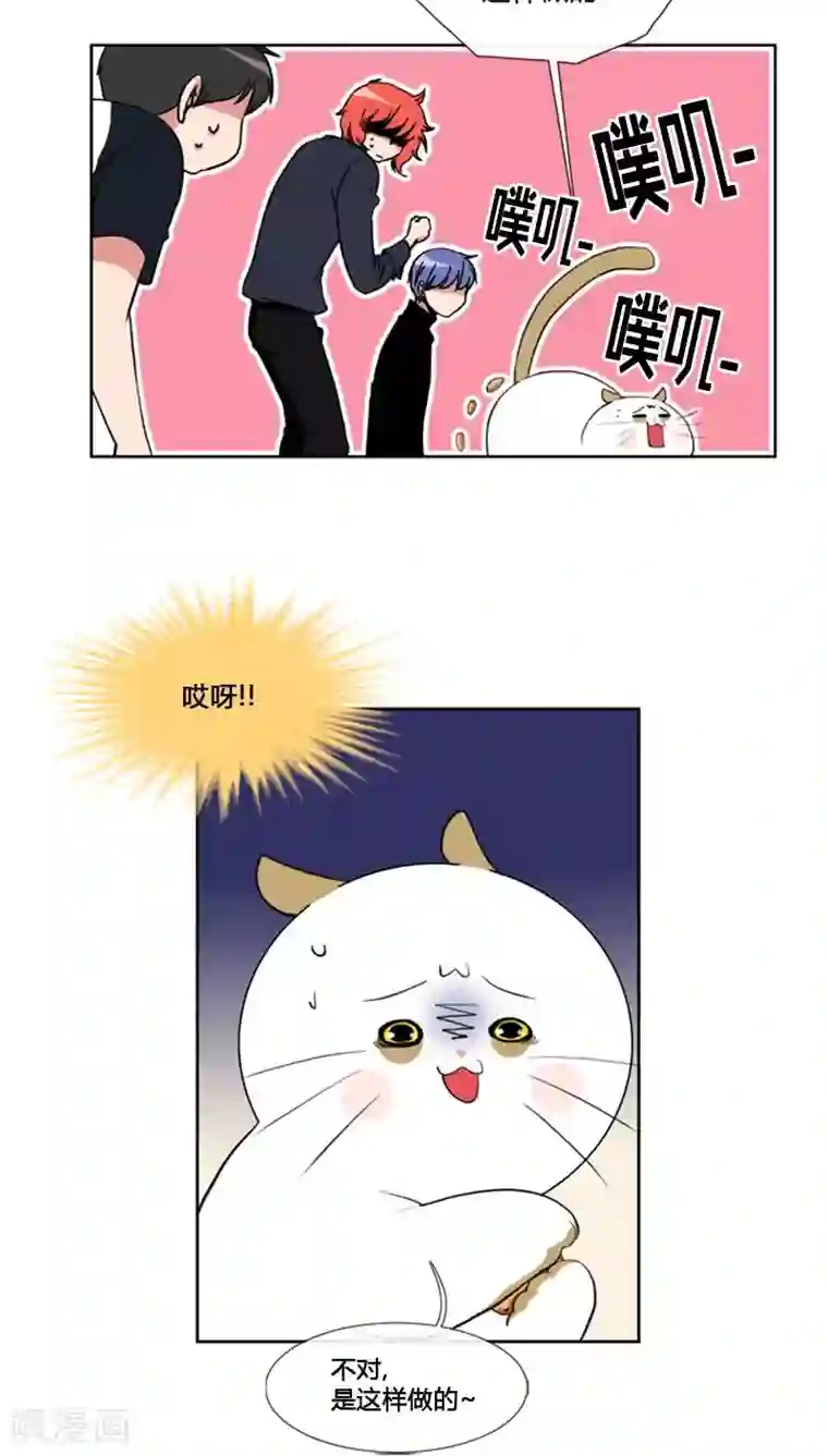 ICE-Cold要员的捡猫事件第65话