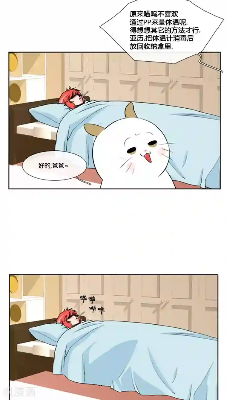 ICE-Cold要员的捡猫事件第65话