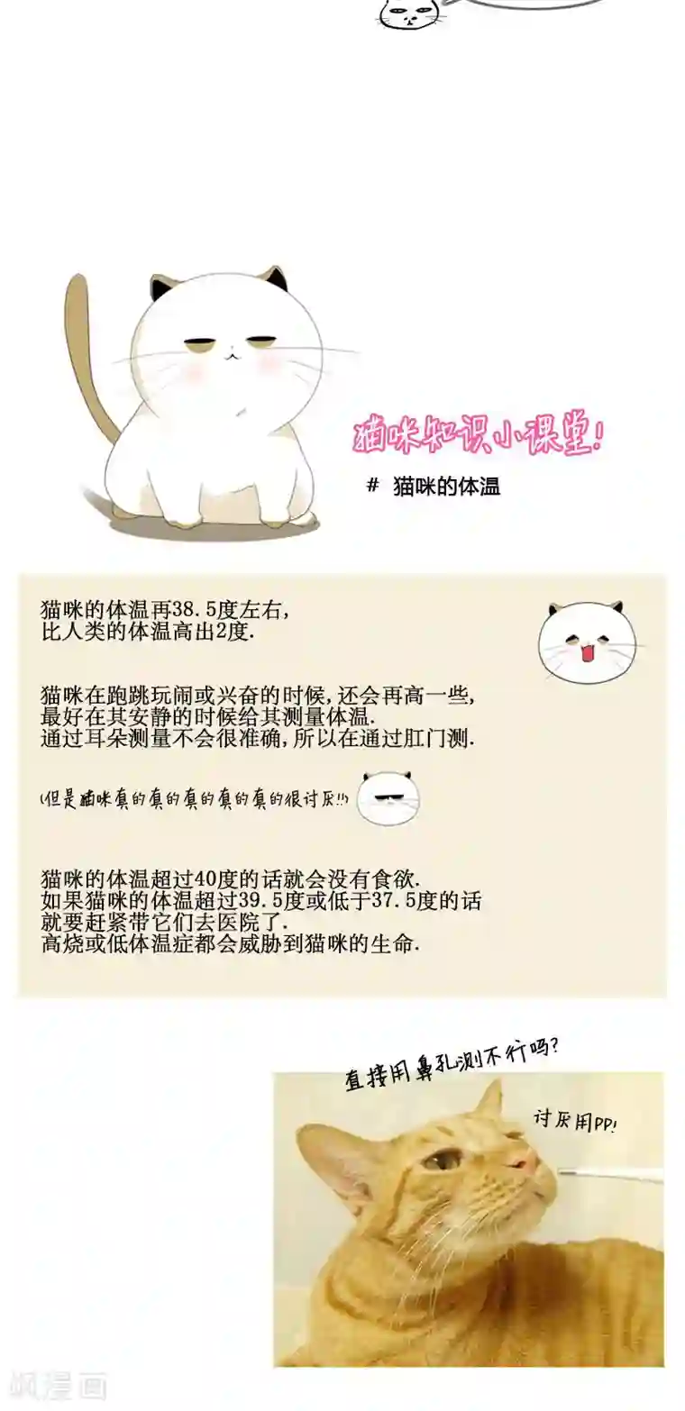 ICE-Cold要员的捡猫事件第65话