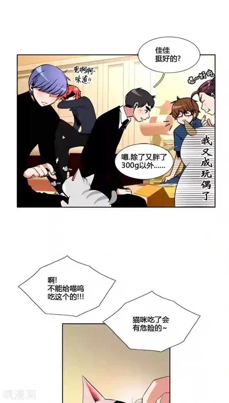 ICE-Cold要员的捡猫事件第66话