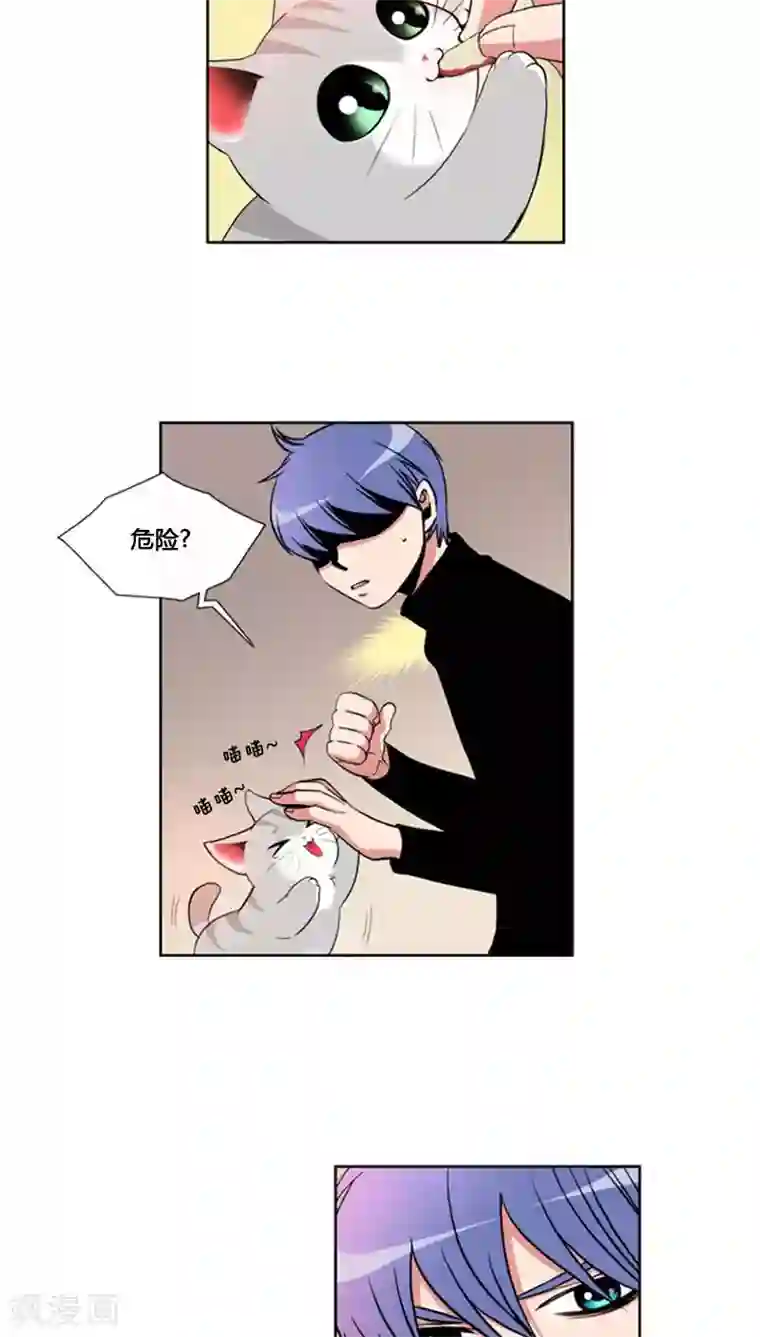 ICE-Cold要员的捡猫事件第66话