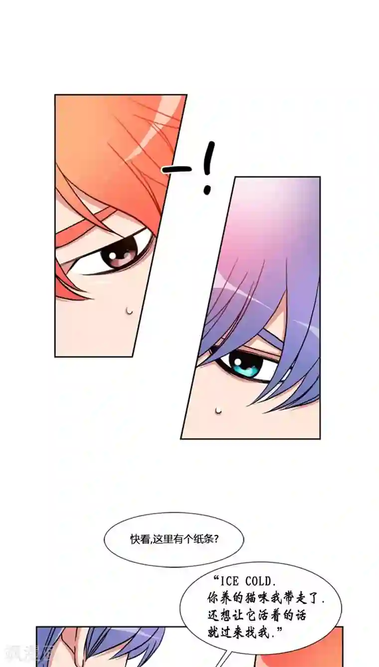 ICE-Cold要员的捡猫事件第66话