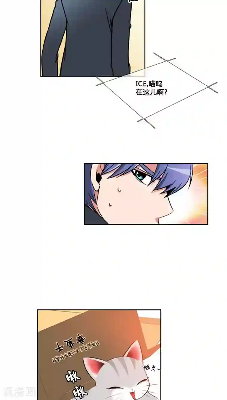 ICE-Cold要员的捡猫事件第66话